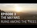 3. The Mayans - Ruins Among the Trees