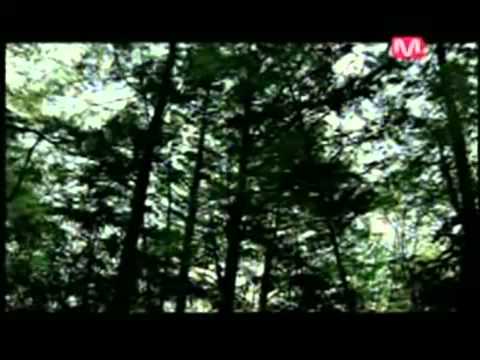 FTIsland - Soyogi