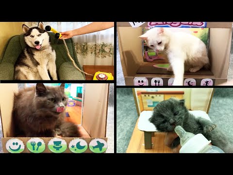 Big Collection My Talking Tom Friends in real life. DIY