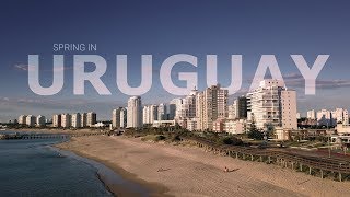 Spring in Uruguay 4K