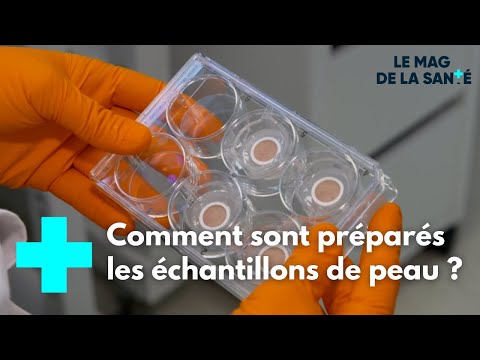 De la peau humaine recyclée pour des tests cosmétologiques - Le Magazine de la Santé