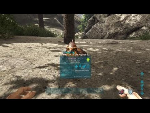 ARK: Survival Evolved how to use Fjordhawk, just put on shoulder, official ps4 pve