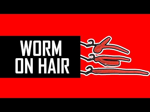 How to HAIR-RIG WORM for FEEDER fishing to catch more fish? Feeder fishing special