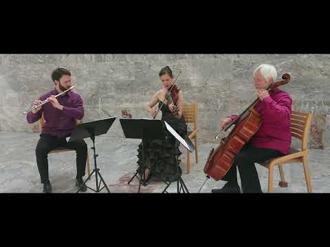 J. Haydn: Londoner trio 1, Hob.IV:1: II. Andante