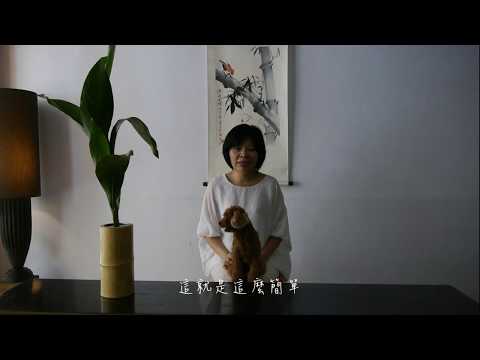 一種生