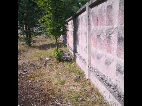 GSSD 117 Garde Panzer regiment der 25 schweren Panzerdivision