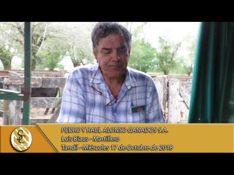 17-10-18 Nota Luis Biaus - Martillero - Pedro y Raúl Alonso Ganados S.A. - Tandil