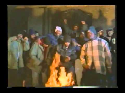 Jackal the Bear - For Real