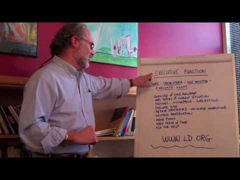 What Is Executive Function?