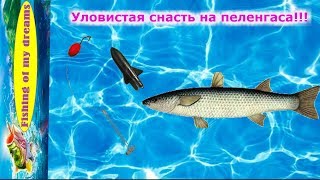 Как сделать снасти для пеленгаса