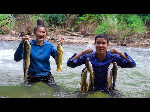 Set Natural Fishing Traps in the River, Catch Big Carp and Bring them to the Market to Sell 