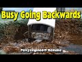 Tomy Busy Going Backwards 2019