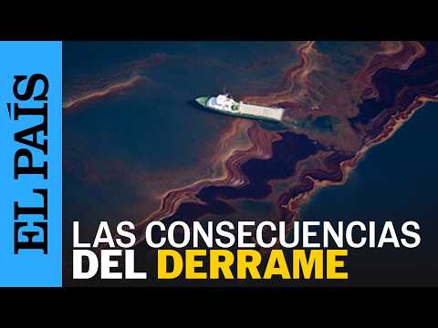 El derrame de Deepwater Horizon desplomó la vida marina en el Golfo de México