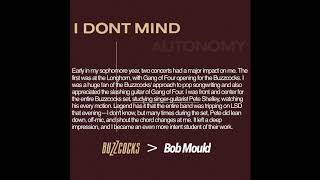 Bob Mould - I Don’t Mind (Buzzcocks Cover)