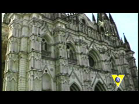 ORG SANGRE MORENA - CUMBIA DE MI TIERRA