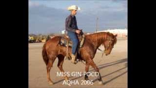preview picture of video 'MISS GIN 4 yr/old  Roping HEELING & Barrel Racing'