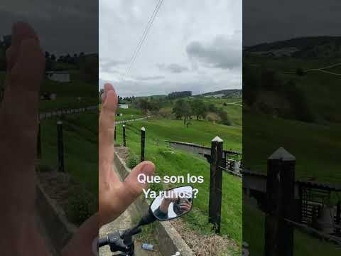 📍🇨🇴San Pedro - entrerrios #antioquia