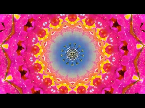 globular : Entangled Everything : [2018 Full Album]