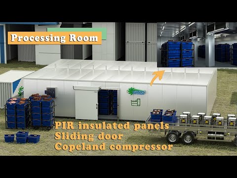 CRYO processing room design