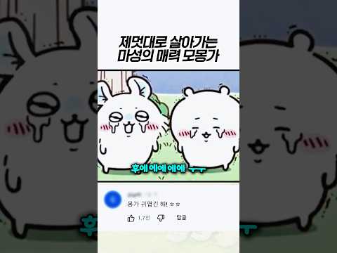 제멋대로 모몽가와 기존쎄 하치와레 #먼작귀