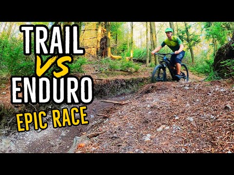 Specialized Stumpjumper Trailbike VS Cube Stereo Endurobike