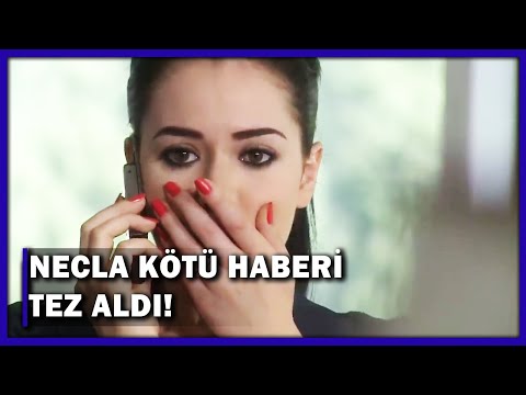 Necla Her Şeyi Öğrendi! - Yaprak Dökümü 159.Bölüm