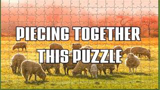 Pixel Puzzles Ultimate: (FREEBIES ➡ Sheep)