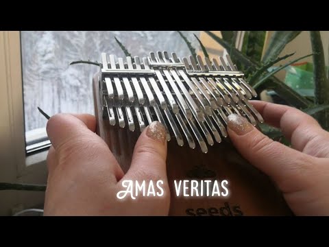 Amas veritas — Alan Silvestri | chromatic kalimba cover | хроматическая калимба