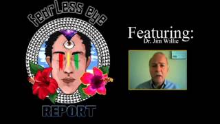 Fearless Eye Report Episode 1: Dr Jim Willie