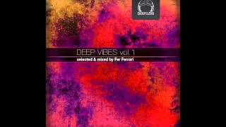 DEEP VIBES, VOL. 1 (SELECTED & MIXED BY FER FERRARI) [DeepClass Records]