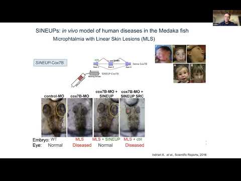 How Human Technopole is supporting Technology Transfer in Italy | Piero Carninci