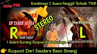 Download lagu SP PANGERAN SRIWIJAYA TWB VS SP TARIK SENJA - SUARA PANGGIL WALET KOMBINASI STEREO L-R mp3