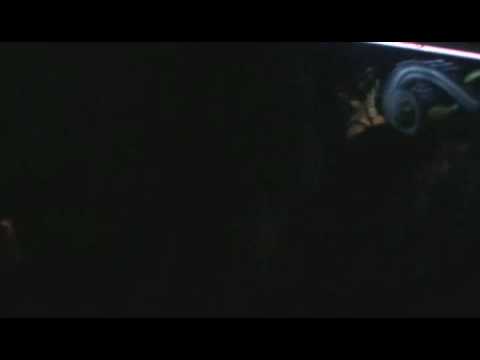 Rough Goa Set @ Time Travel,Orbital