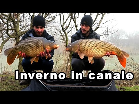 Betackle * carpfishing invernale *, sessione di pesca in canale