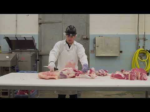 Learn the Art of Butchery - Beef Round with Professor Phil Bass