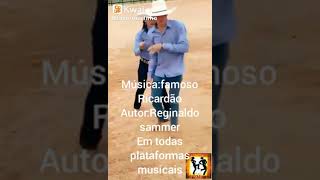 Reginaldo Sammer shows forró sertanejo