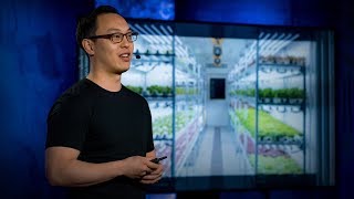 Download the video "Are indoor vertical farms the future of agriculture? | Stuart Oda"