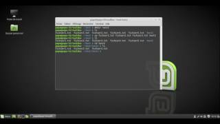 Initiation au terminal Linux | Leçon 3 - Manipulation de fichiers et répertoires