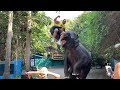 سفرة الى بانكوك/ تايلند. Ahmad Ahmad. Bangkok