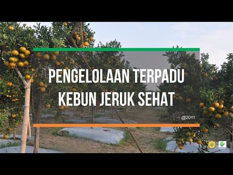 Obat yang tidak berbahaya bagi potensi Yang tablet lebih baik untuk meningkatkan potensi
