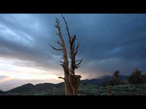 Mahler - Symphony No 7 - Kondrashin