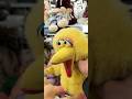 Sesame Street Big Bird Vintage Plush Plushie Collectible Toy Ez Money Goldhunter137