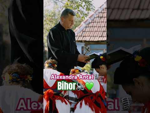 Îmi place tare mult Bihorul ❤️           #muzicapopulara #singer #muzicadepetrecere