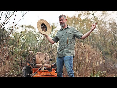 Food Forest Beauty & Ease: Under 1-Hour Transformation