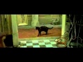 Déjà Vu The Matrix Italiano