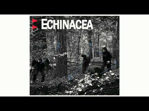 02. Echinacea feat. Proceente - Miejski kwiat