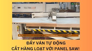 Máy đẩy ván cấp phôi cho cưa Panel saw, tăng năng xuất và giảm nhân lực! HT-DV2500AT & Techtra-328F