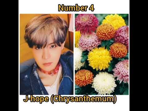 BTS MEMBERS FAVOURITE FLOWER 🌺.....