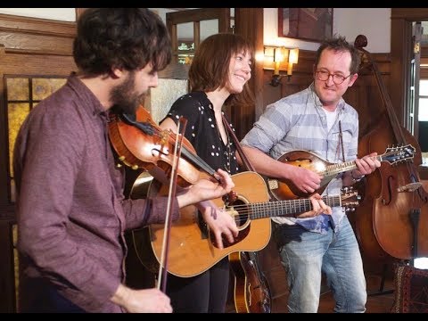 Joe K. Walsh, Molly Tuttle & John Mailander - Never More Will Roam