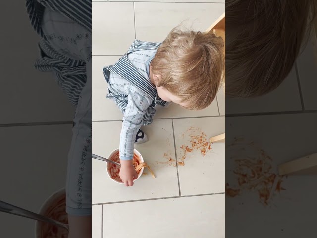 Video Teaser für Trisa Wet Clean Smart Test: Salomons Bewertung dieses Reinigungs-Game-Changers